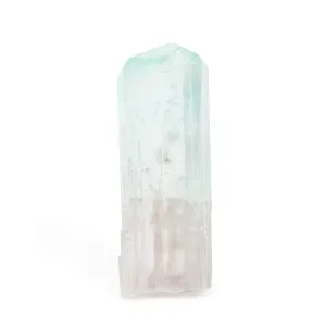 Bicolor Tourmaline 39mm 8 Gram Natural Gem Crystal