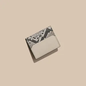 Card Case - Ivory