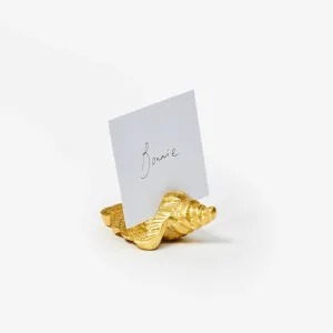 Conch Shell Place Card Holders