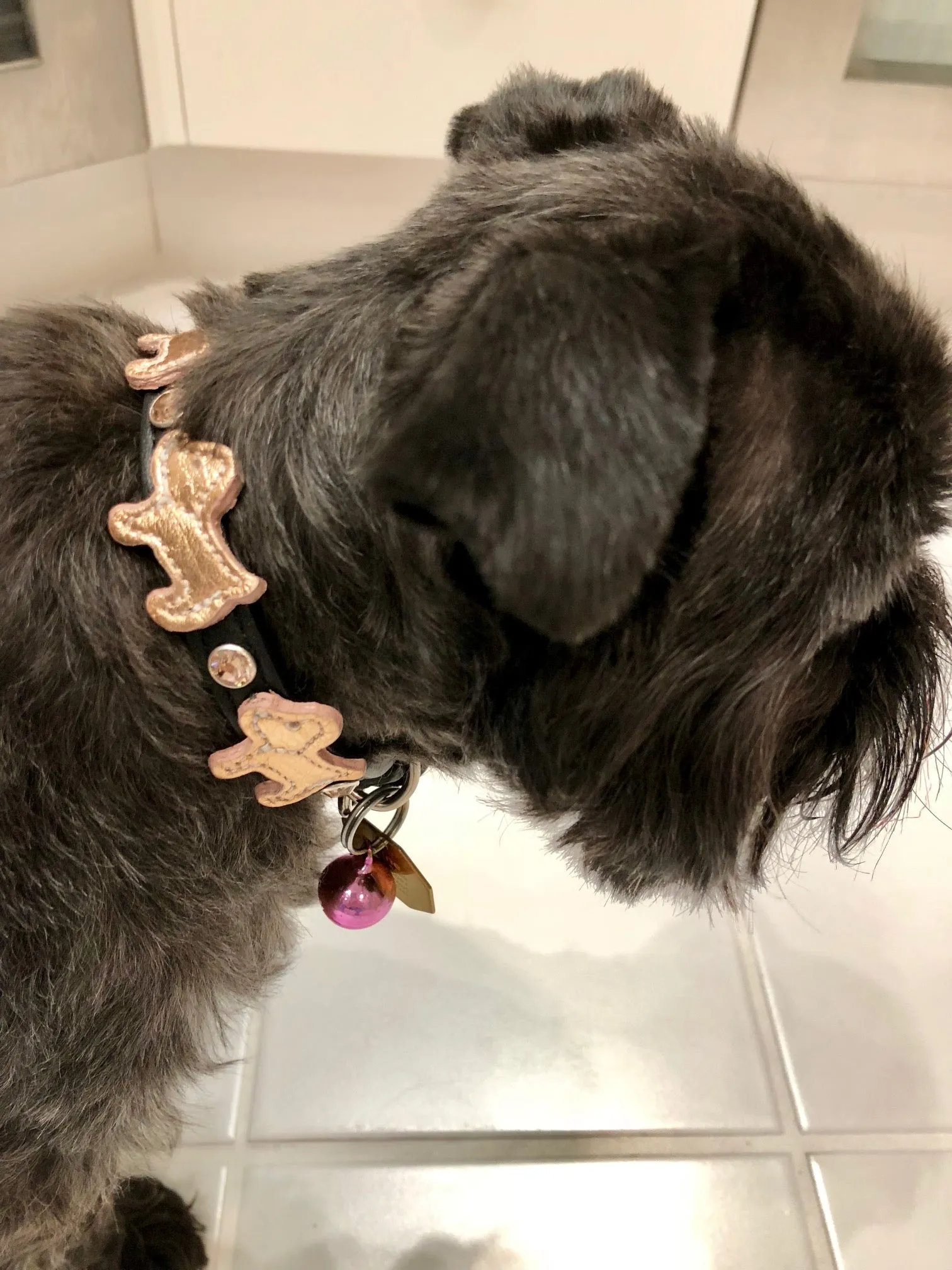 Malka Crystal Leather Dog Collar