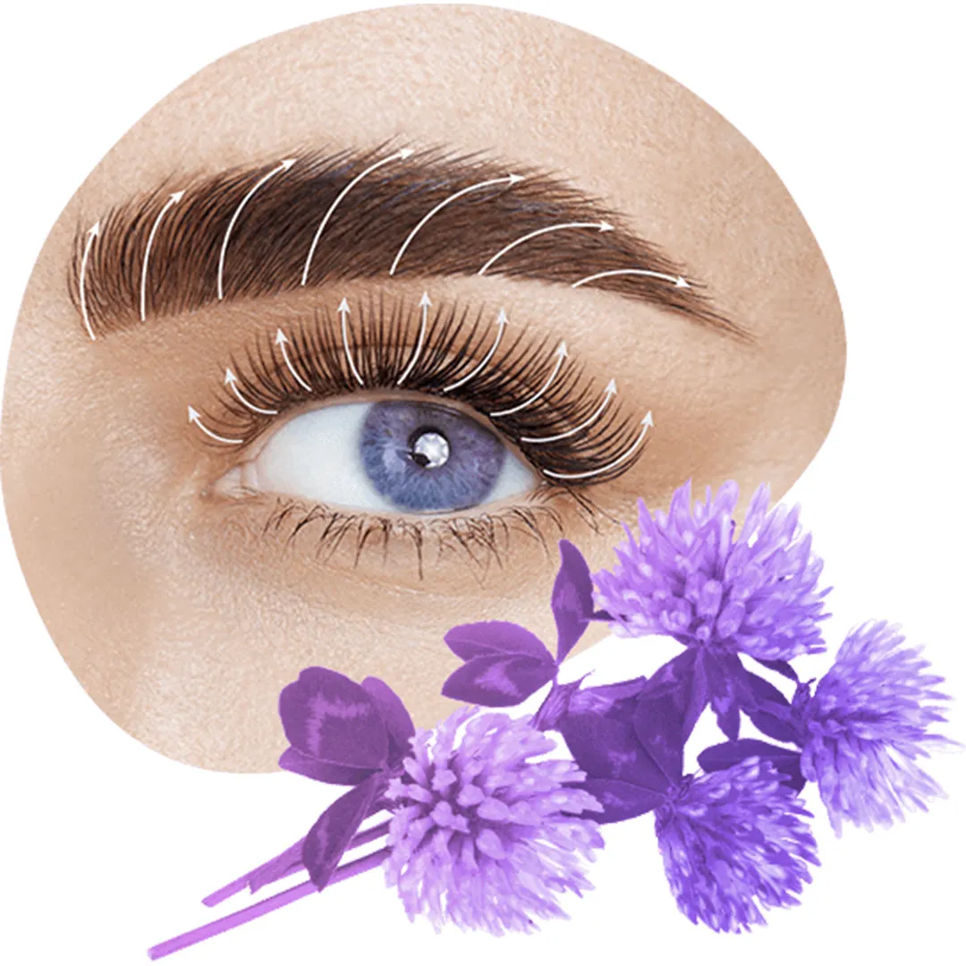 Mayamy Oh My Grow Brow Growth Serum