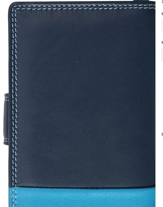 Multi Color Bi-Fold Leather Wallet