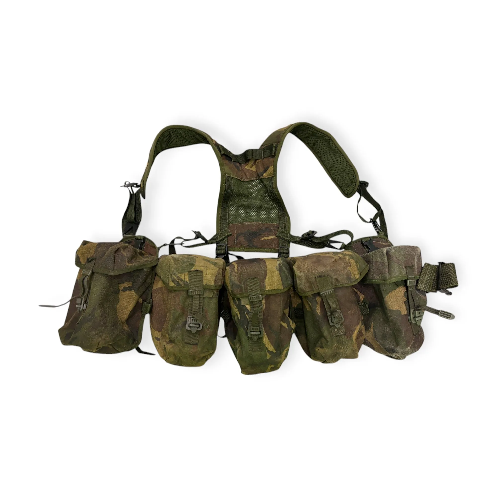 PLCE DPM Utility Webbing Rig