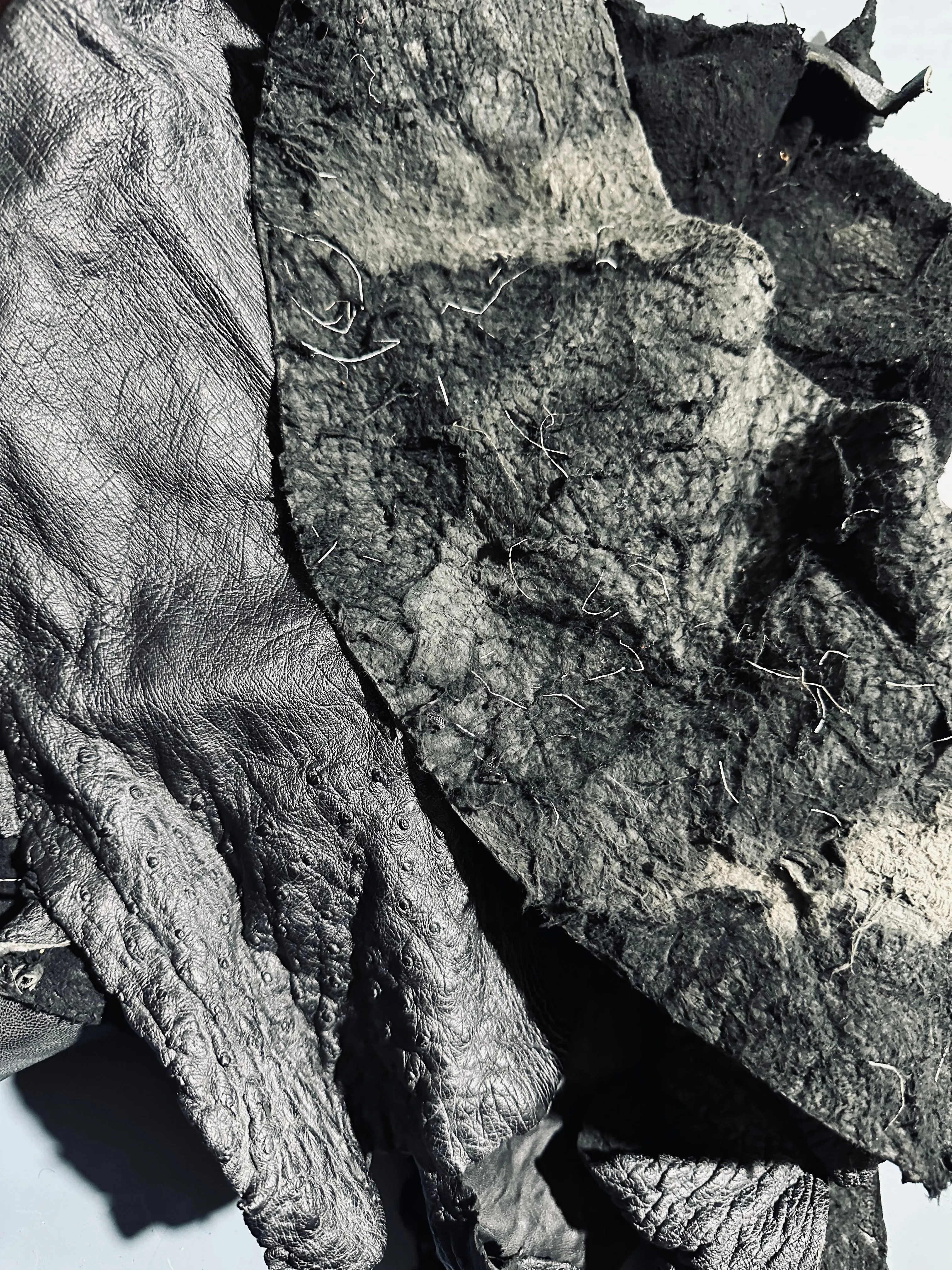 Premium Ostrich Offcuts - XS - Small