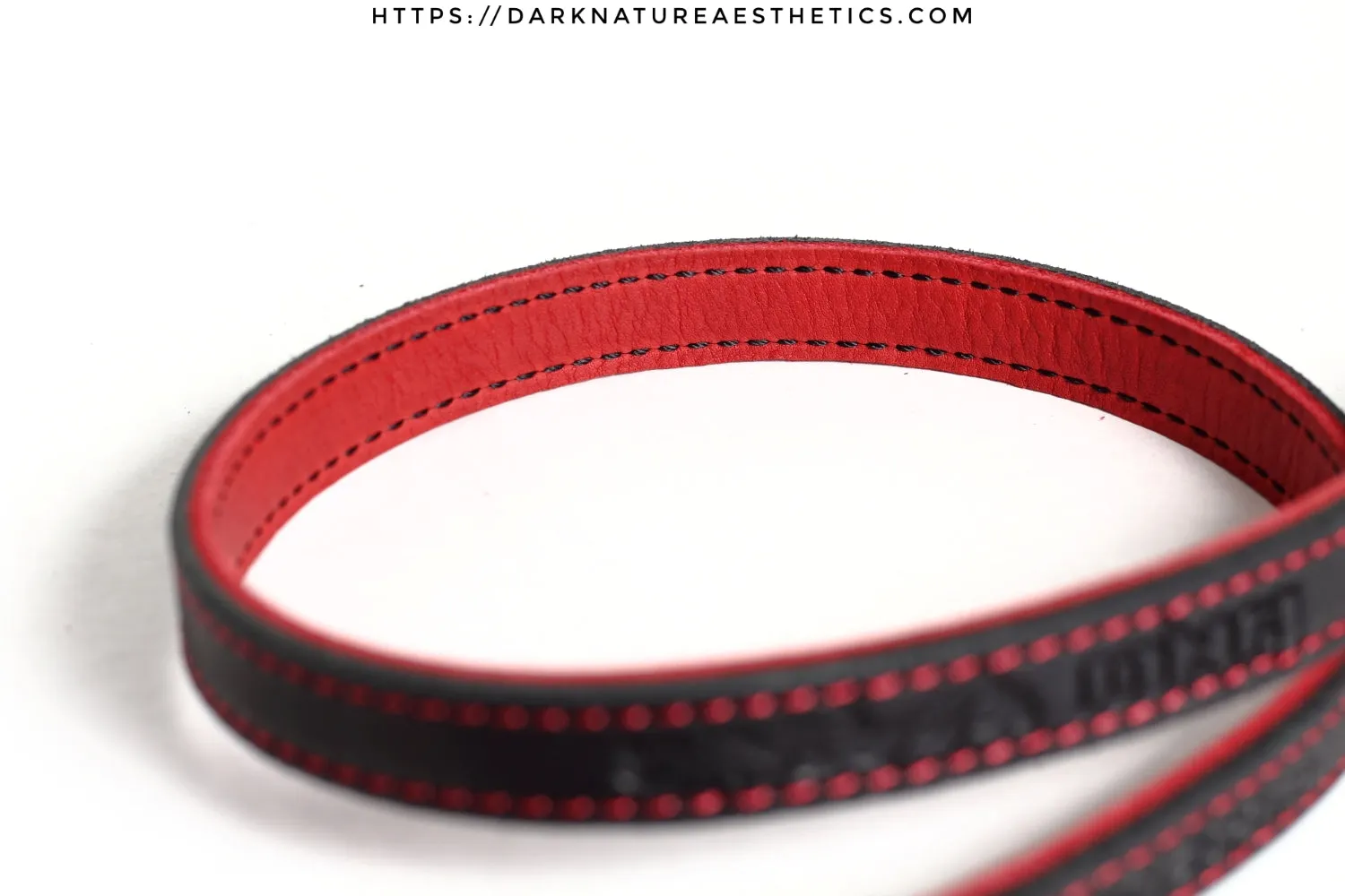 "Carnal Sins" Bloody Leather Bondage Leash