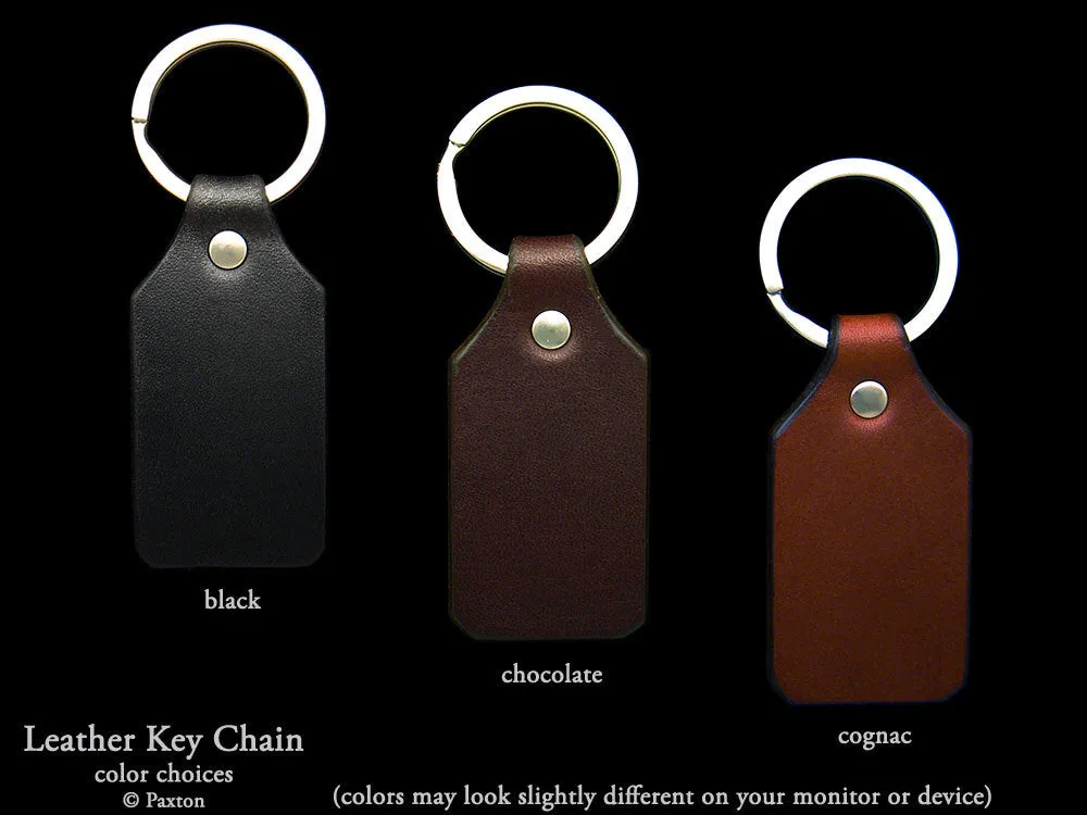 Sea Turtle Key Chain / Key Ring Sterling Silver