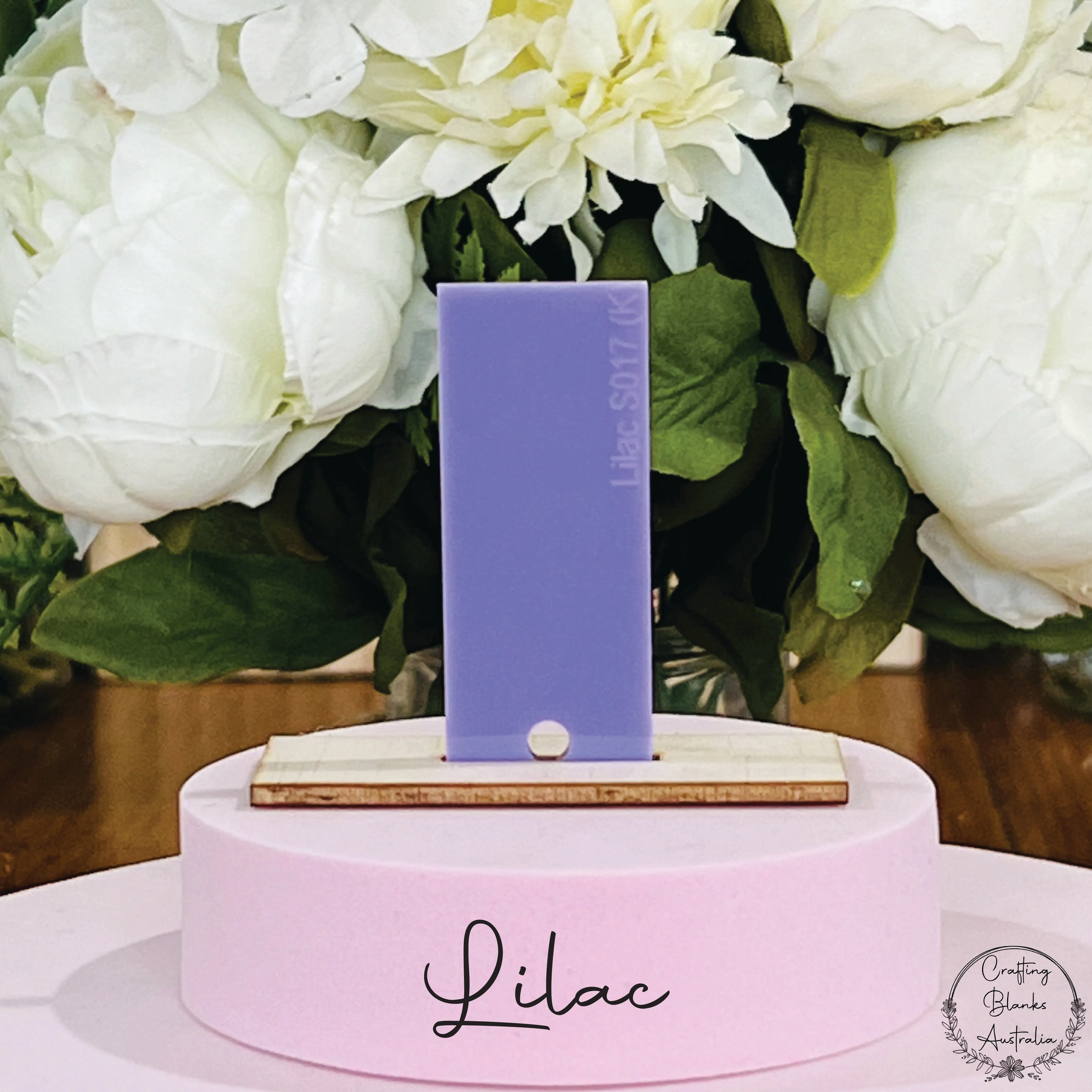 Star • Gift Card Holder • 100mm