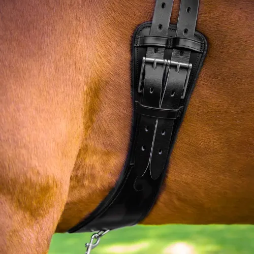 Tamarro Anatomic Leather Dressage Girth